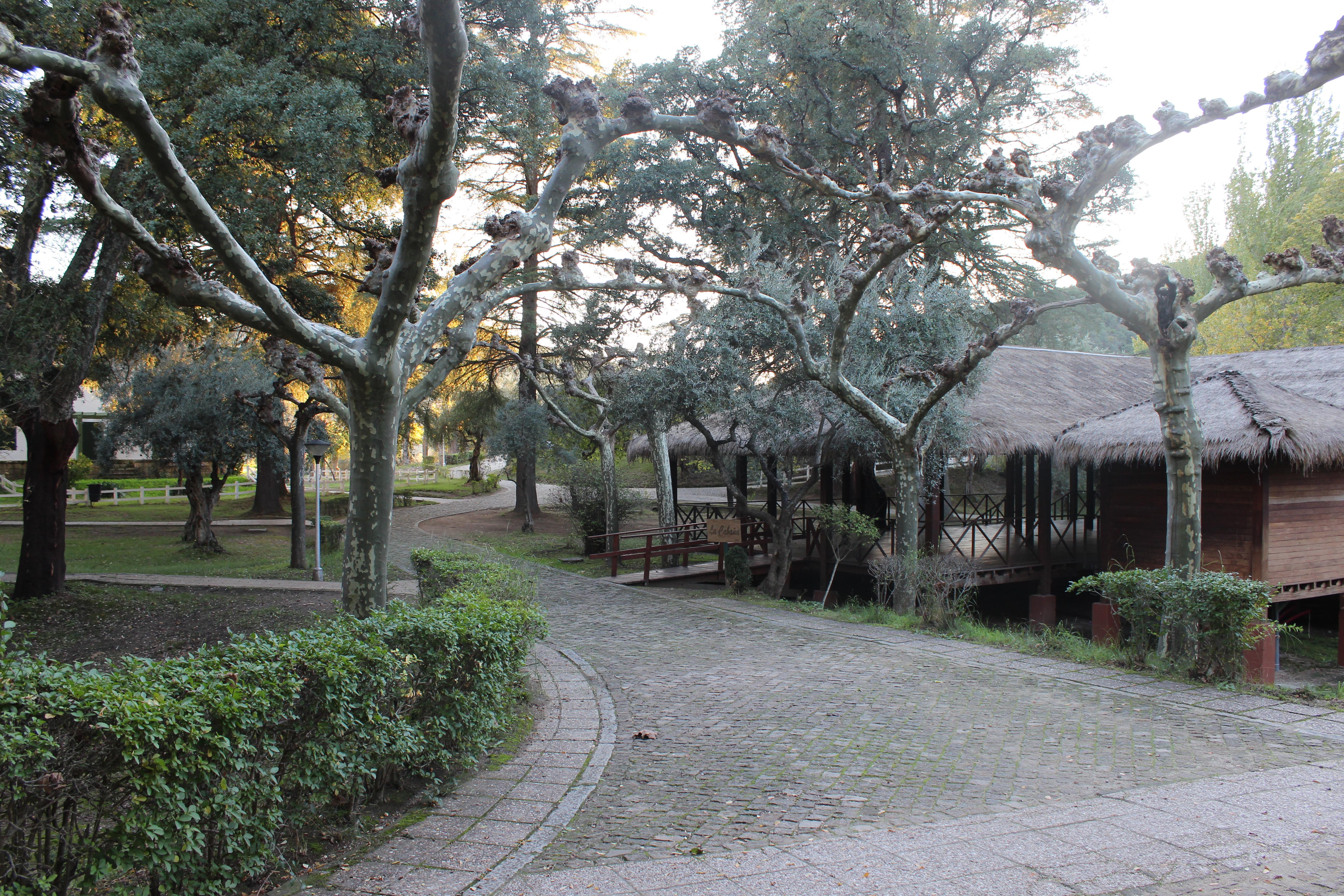 Oca Aldeaduero Hotel Salto de Saucelle エクステリア 写真